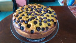 blueberry-cake